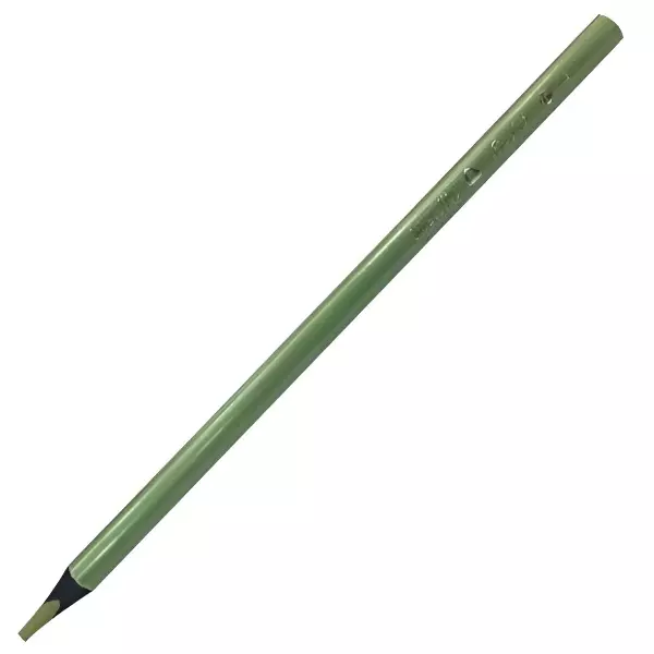 1 - 12 Lapices De Colores Metalicos Premium Tryme